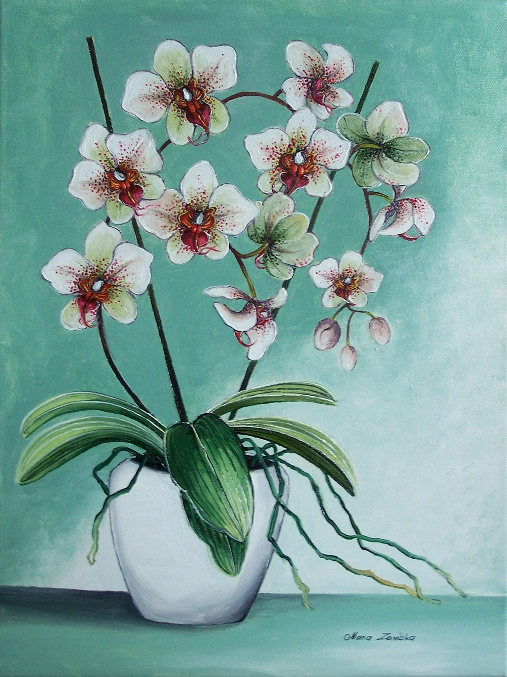 White orchid painting